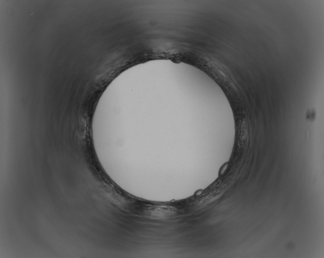 X0000090920463200708271028