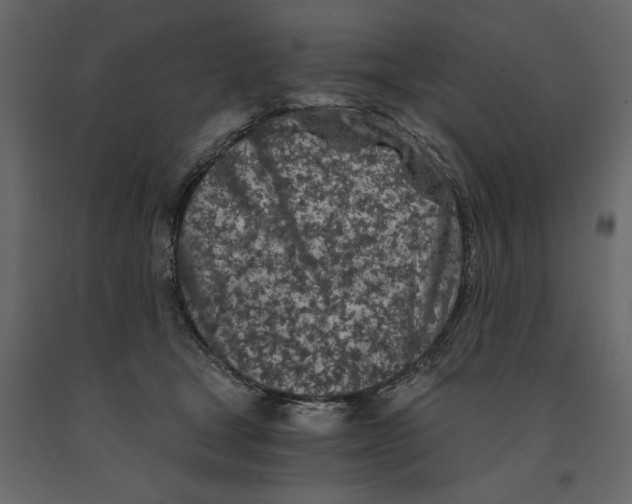 X0000090920465200708271028