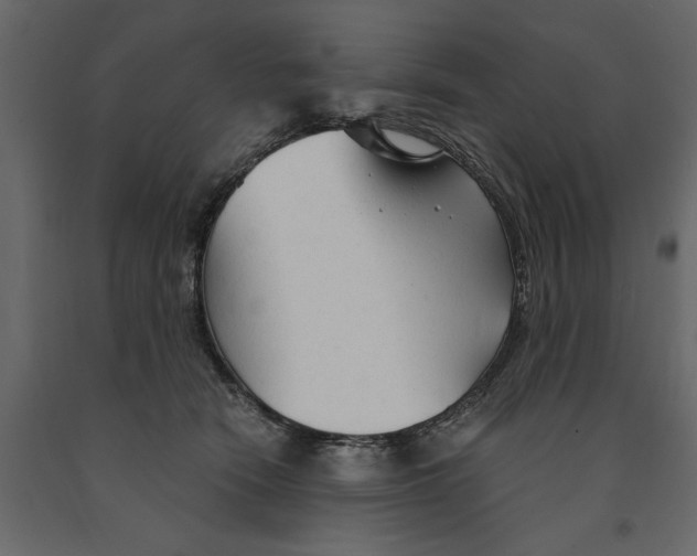 X0000090920466200708271028