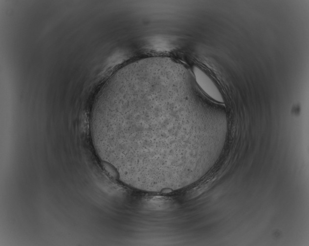 X0000090920467200708271028