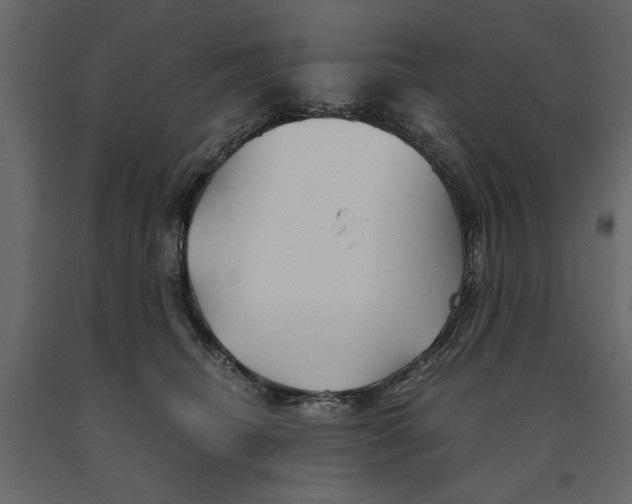 X0000090920468200708271028