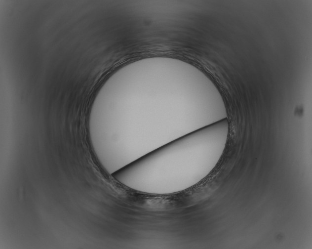 X0000090920470200708271028