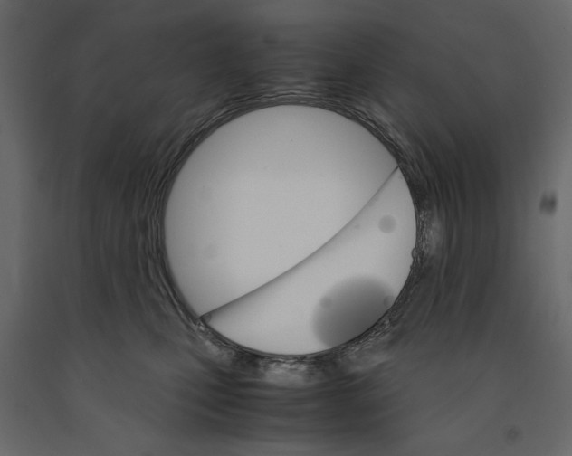 X0000090920471200708271028