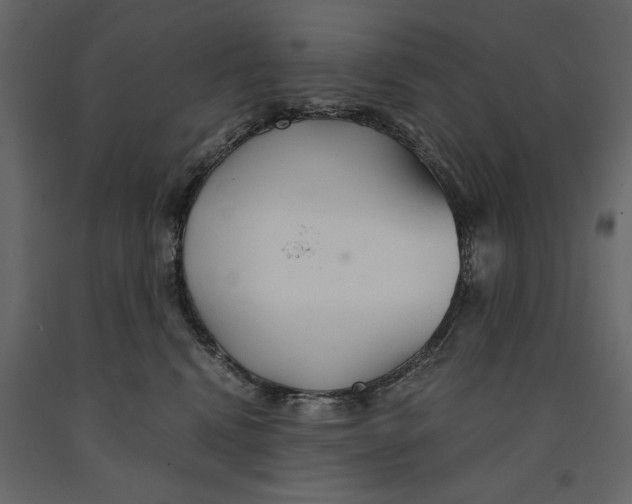 X0000090920472200708271028