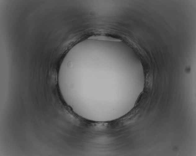 X0000090920474200708271028