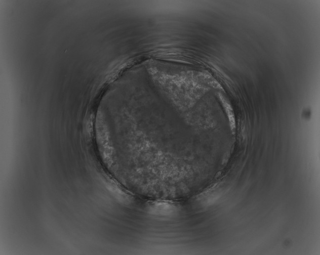 X0000090920475200708271028