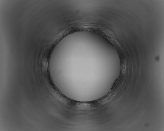 X0000090920476200708271028