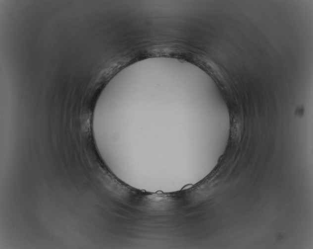 X0000090920477200708271028