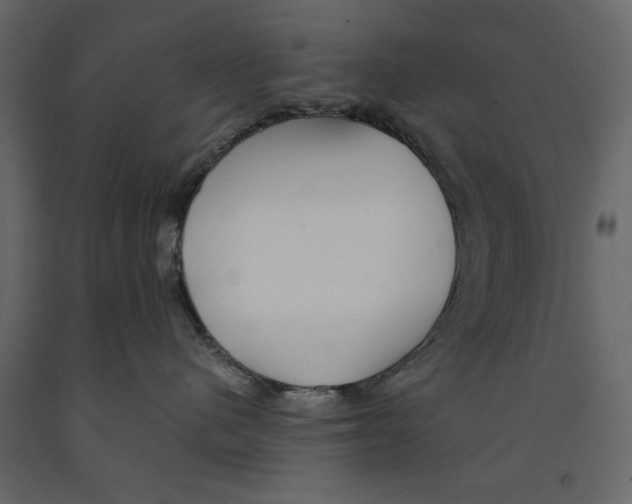 X0000090920480200708271028