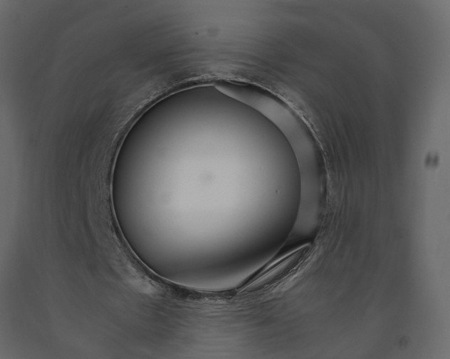 X0000090920481200708271027