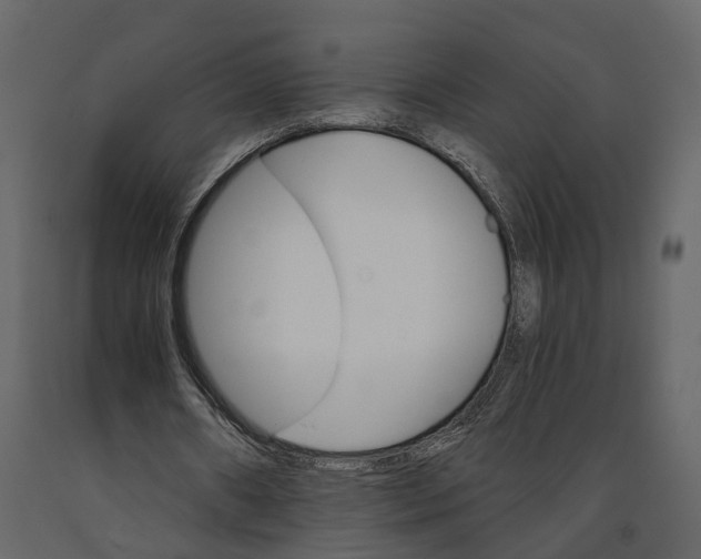 X0000090920482200708271027