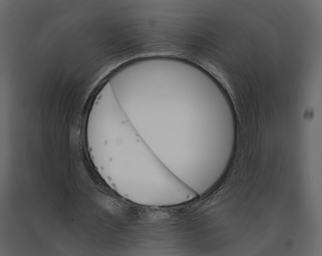 X0000090920483200708271027