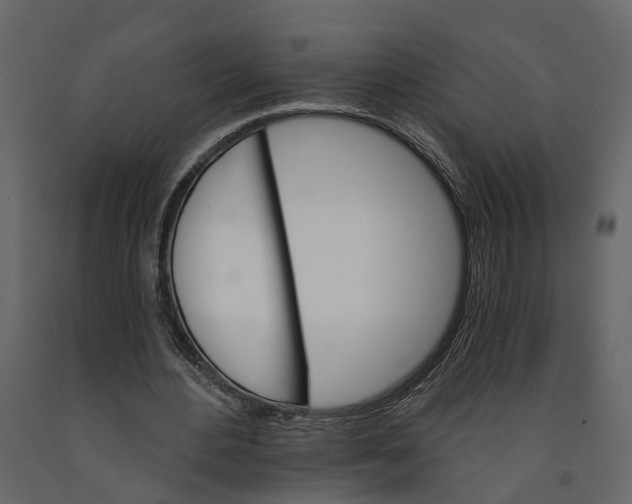 X0000090920484200708271027