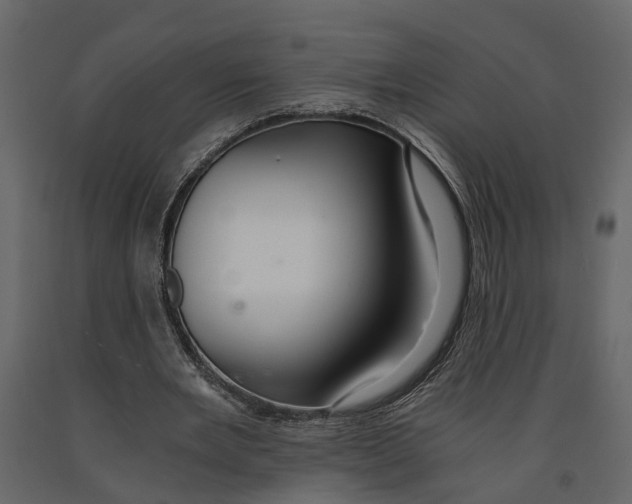 X0000090920485200708271027