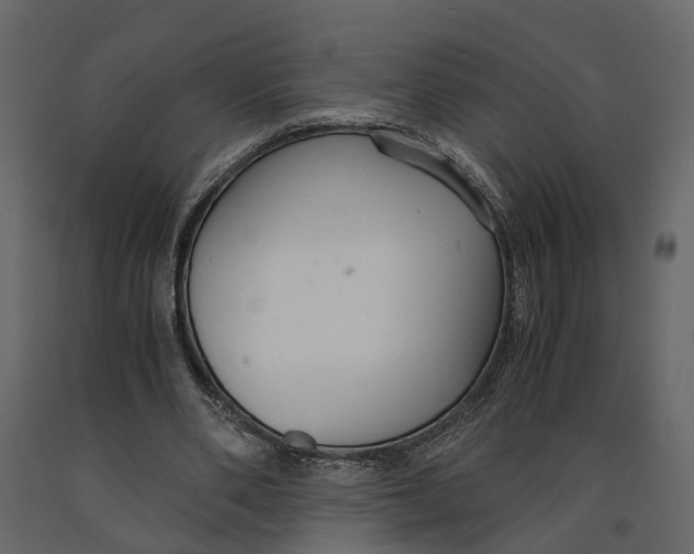 X0000090920486200708271027