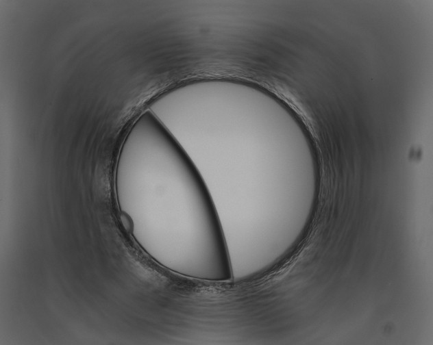 X0000090920489200708271027