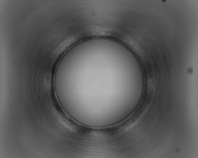 X0000090920490200708271027