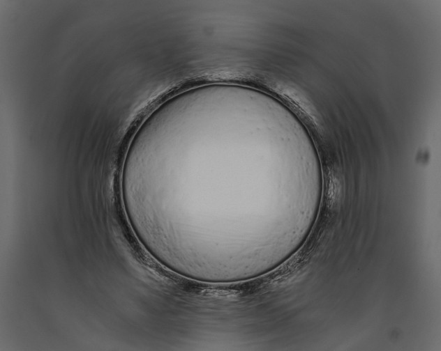 X0000090920491200708271027