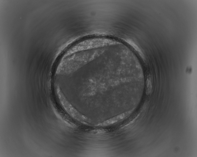 X0000090920492200708271027