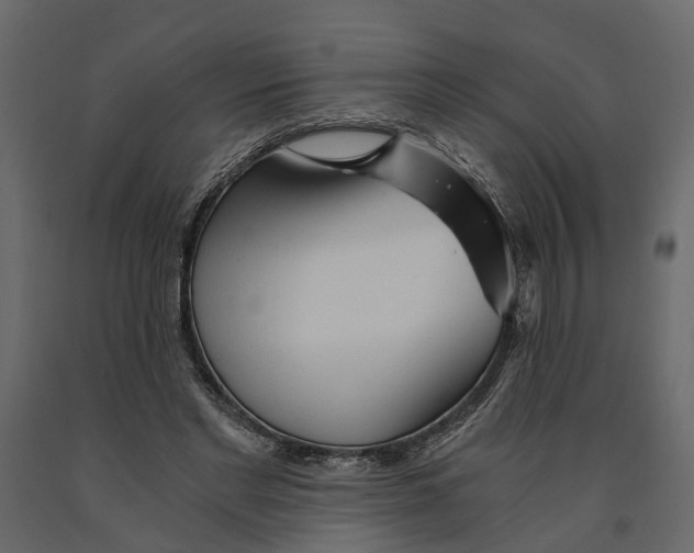 X0000090920493200708271027