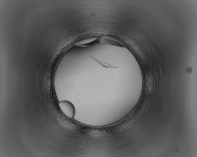 X0000090920494200708271027