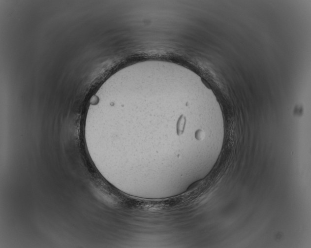 X0000090920495200708271027