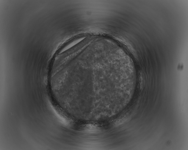 X0000090920496200708271027