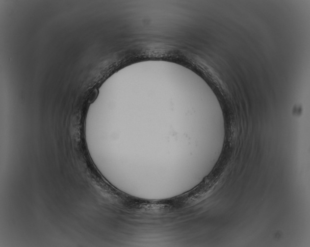 X0000090920497200708271027