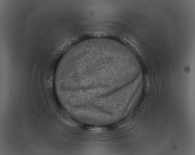 X0000090920499200708271027