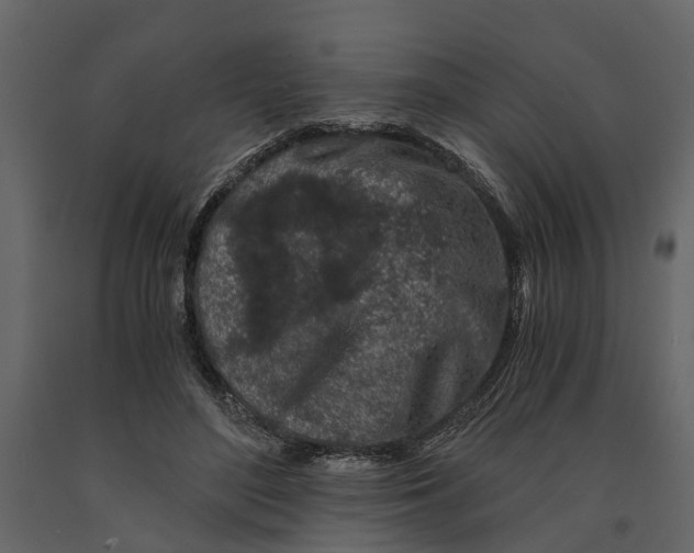 X0000090920500200708271027