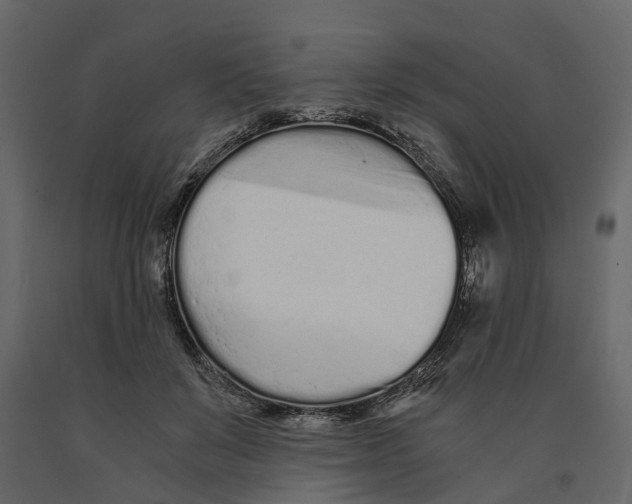 X0000090920503200708271027