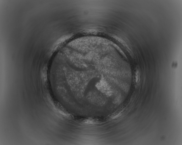 X0000090920504200708271027