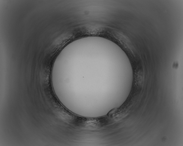 X0000090920505200708271027