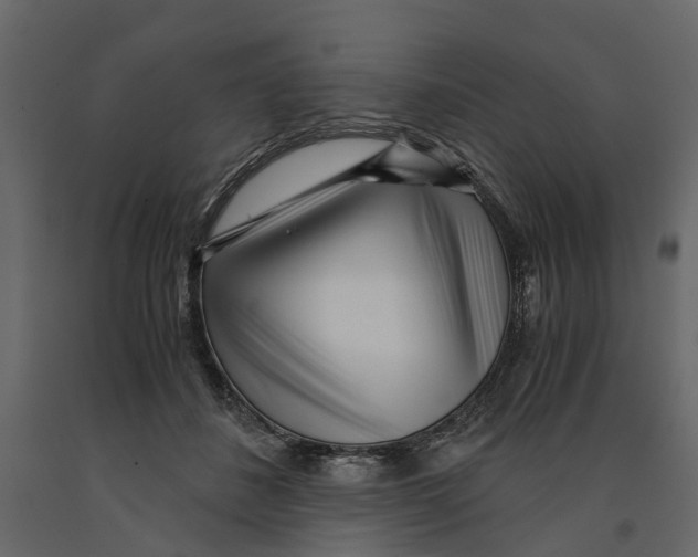 X0000090920508200708271027