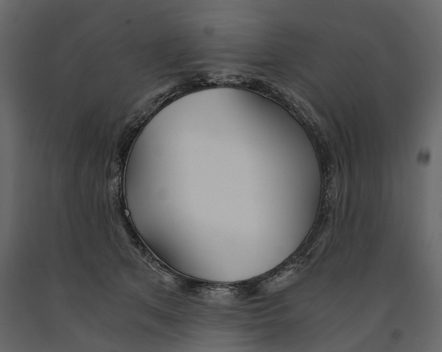 X0000090920513200708271027