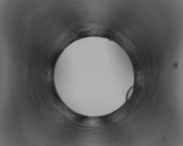 X0000090920514200708271027