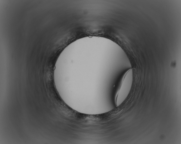 X0000090920515200708271027