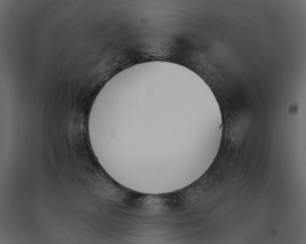 X0000090920518200708271027