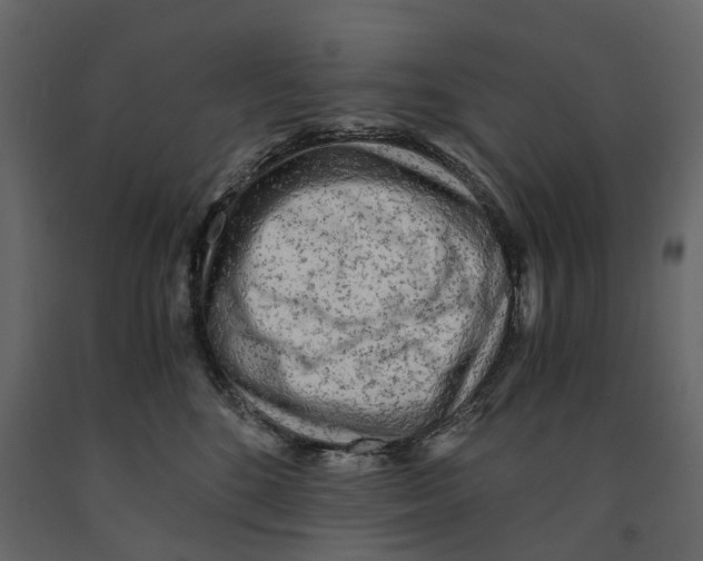 X0000090920520200708271027