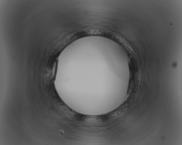 X0000090920521200708271027