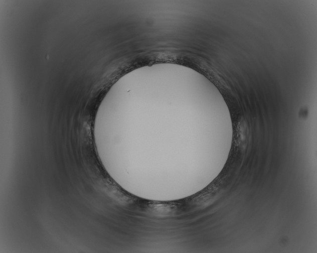 X0000090920522200708271027