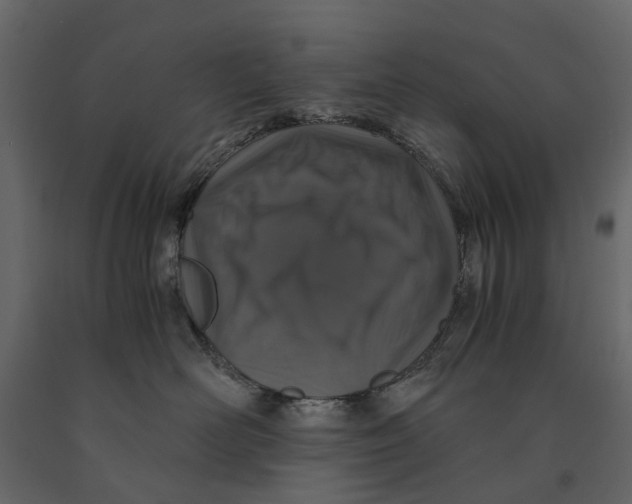 X0000090920526200708271027