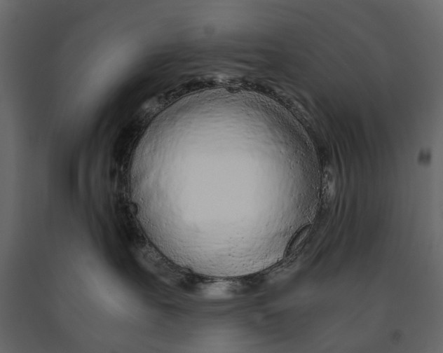 X0000090920527200708271027