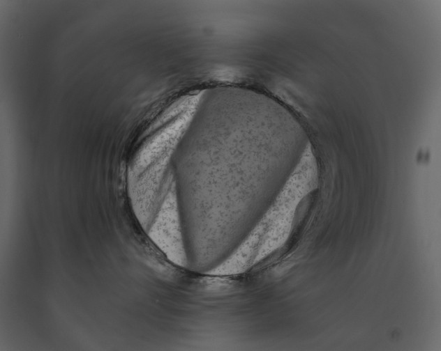 X0000090920528200708271027