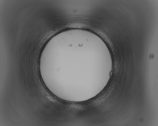 X0000090920529200708271026