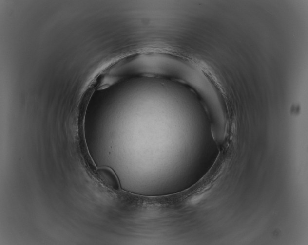 X0000090920531200708271026