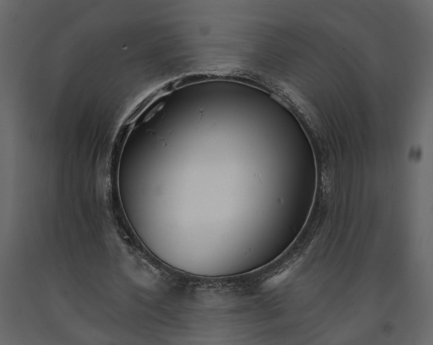 X0000090920532200708271026