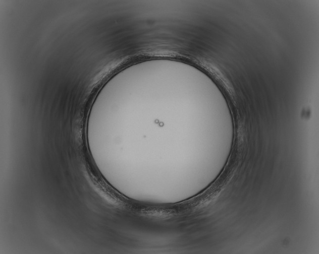 X0000090920533200708271026