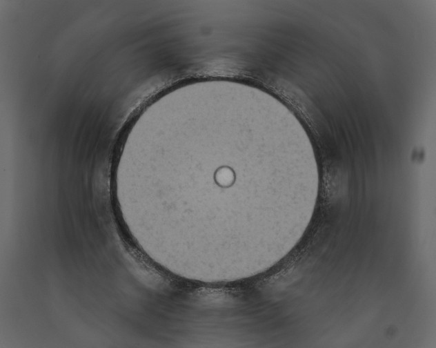 X0000090920534200708271026