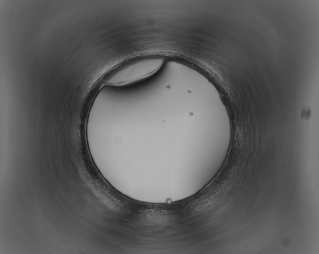 X0000090920535200708271026